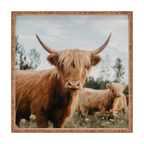 Chelsea Victoria The Furry Highland Cow Square Tray