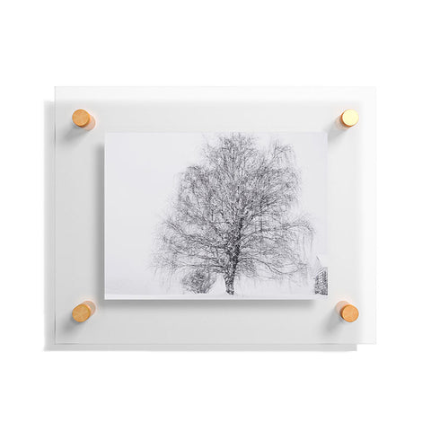 Chelsea Victoria The Willow and The Snow Floating Acrylic Print