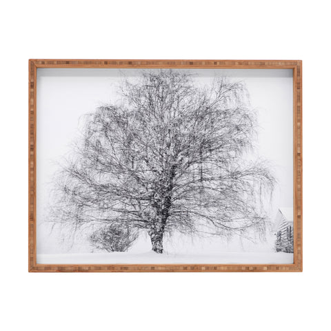 Chelsea Victoria The Willow and The Snow Rectangular Tray