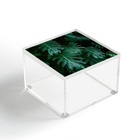 Chelsea Victoria Tropical Paradise Vibes Acrylic Box