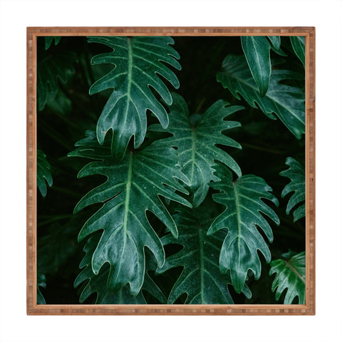 Chelsea Victoria Tropical Paradise Vibes Square Tray