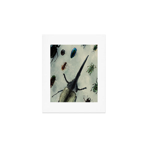 Chelsea Victoria We Are The Beetles Art Print