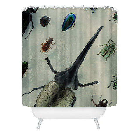 Chelsea Victoria We Are The Beetles Shower Curtain