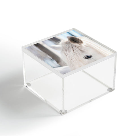 Chelsea Victoria White Knight Acrylic Box
