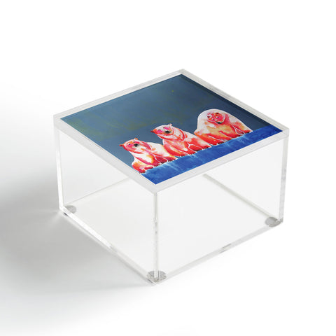 Clara Nilles Polarbear Blush Acrylic Box