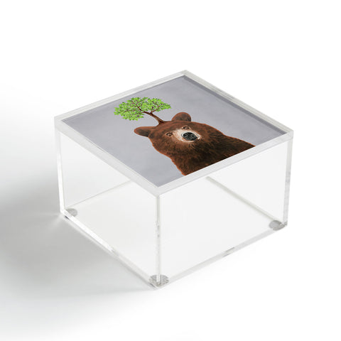 Coco de Paris A brown bear with a tree Acrylic Box