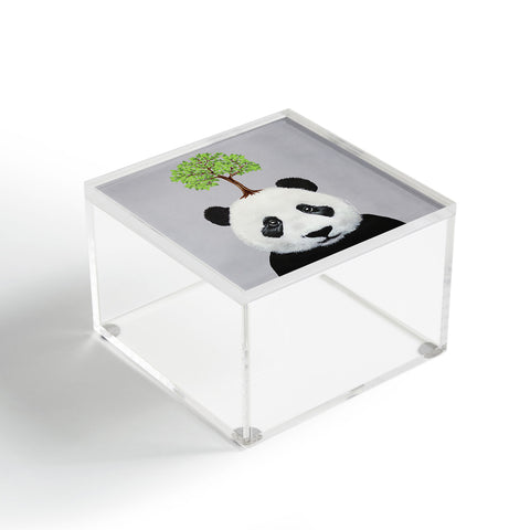 Coco de Paris A Panda with a tree Acrylic Box