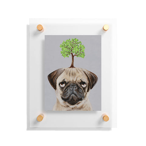 Coco de Paris A pug with a tree Floating Acrylic Print