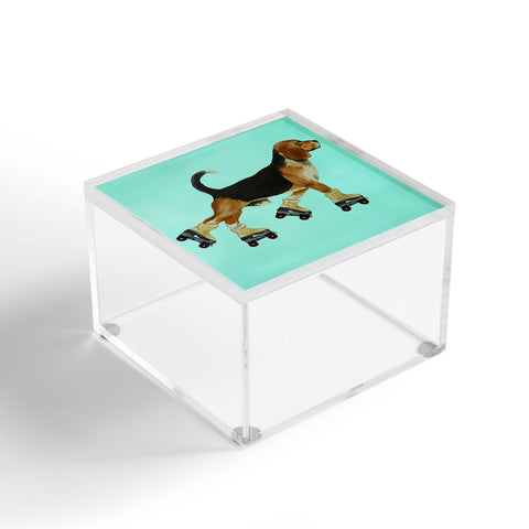 Coco de Paris Beagle Rollerskater Acrylic Box
