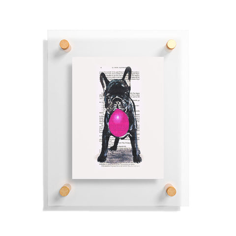 Coco de Paris Bulldog With Bubblegum 01 Floating Acrylic Print