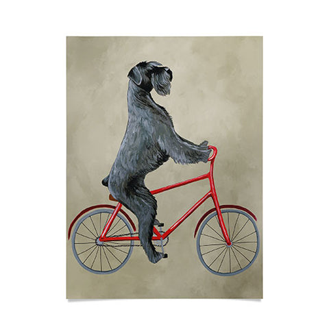 Coco de Paris Giant schnauzer on bicycle Poster