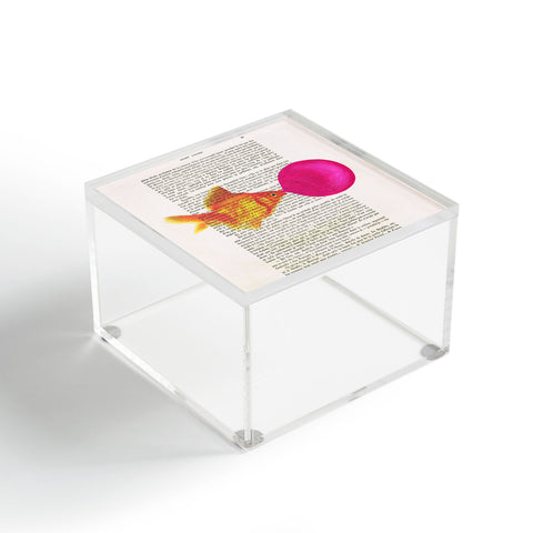 Coco de Paris Goldfish With Bubblegum Acrylic Box
