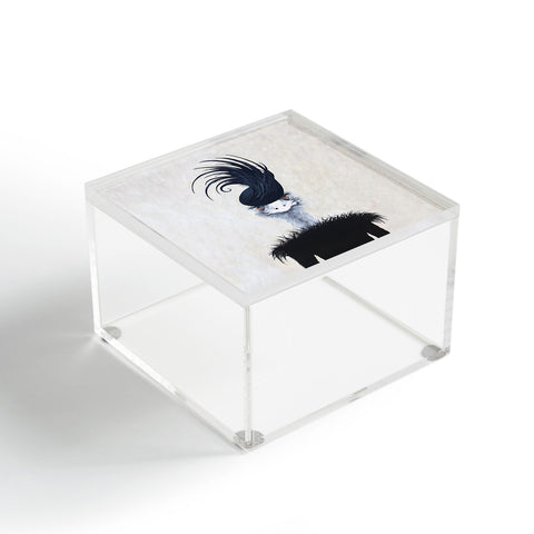 Coco de Paris Retro Ostrich Acrylic Box
