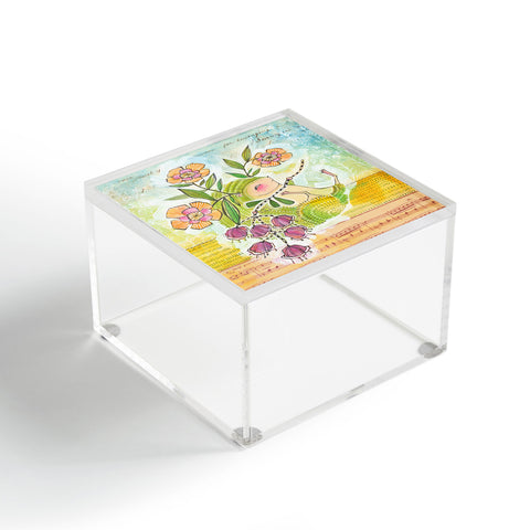 Cori Dantini Hedgie Acrylic Box