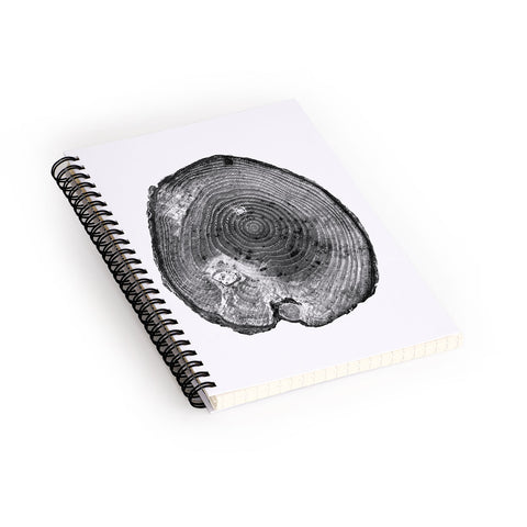 Dan Hobday Art Pine Log Spiral Notebook