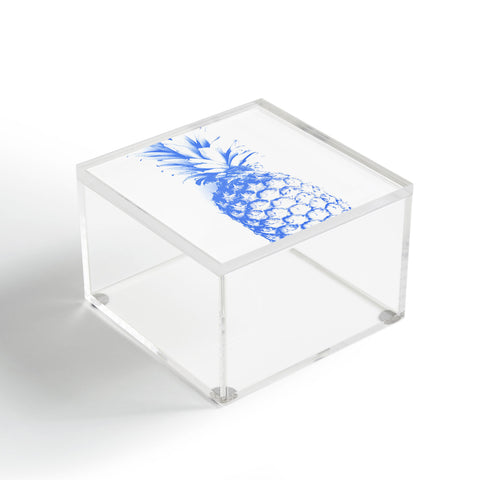 Deb Haugen blu pineapple Acrylic Box