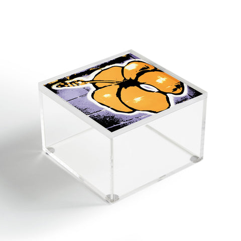 Deb Haugen Citrus Squeeze Acrylic Box
