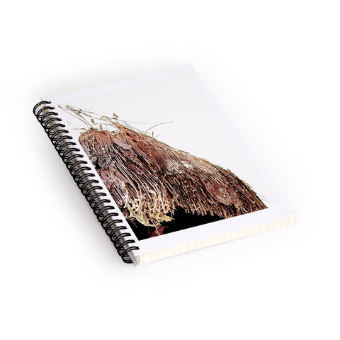 Deb Haugen Coconut 1 Spiral Notebook