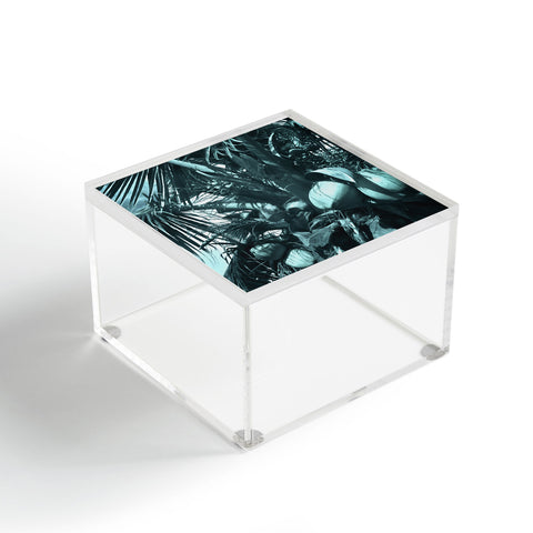 Deb Haugen cool coco Acrylic Box