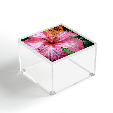Deb Haugen Crozier 1 Acrylic Box