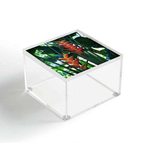 Deb Haugen Haleiwa Heliconia Acrylic Box