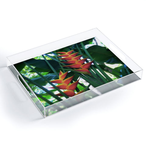 Deb Haugen Haleiwa Heliconia Acrylic Tray