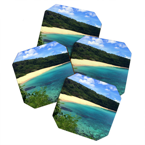 Deb Haugen Hawaiian Dreams Coaster Set