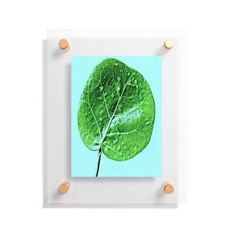 Deb Haugen Leaf Green Floating Acrylic Print