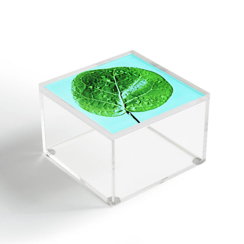 Deb Haugen Leaf Green Acrylic Box