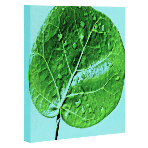 Deb Haugen Leaf Green Art Canvas