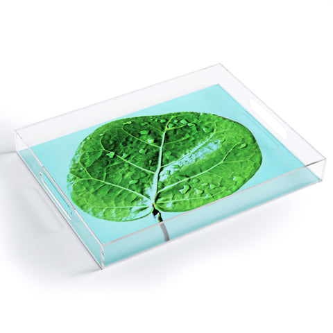 Deb Haugen Leaf Green Acrylic Tray