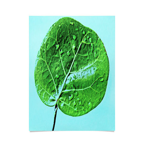 Deb Haugen Leaf Green Poster
