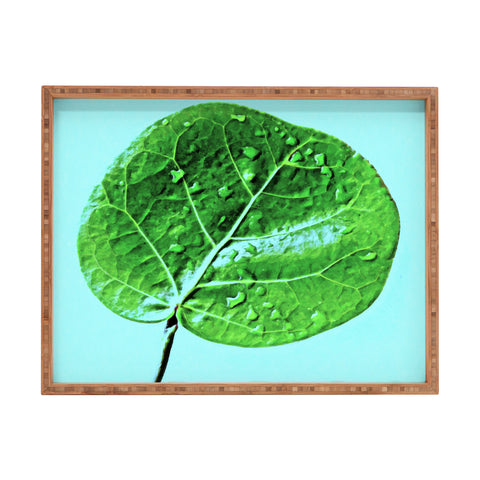 Deb Haugen Leaf Green Rectangular Tray
