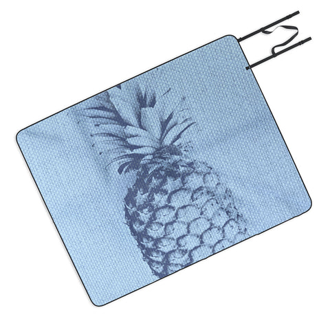 Deb Haugen Linen Pineapple Picnic Blanket