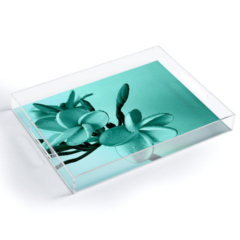 Deb Haugen Mint Plumeria Acrylic Tray