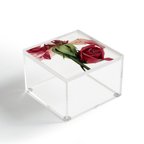 Deb Haugen old rose Acrylic Box