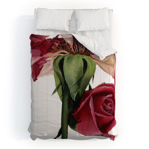 Deb Haugen old rose Comforter