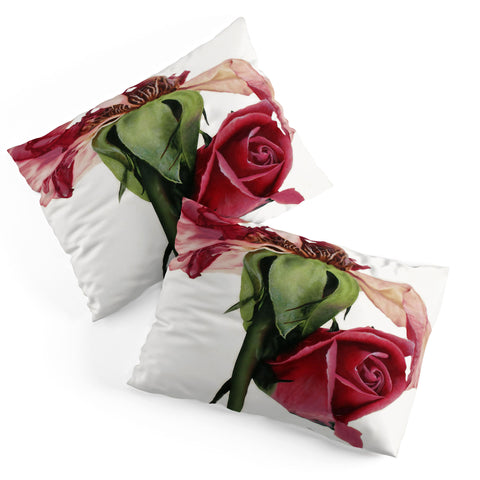 Deb Haugen old rose Pillow Shams