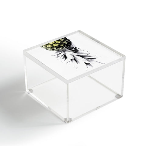 Deb Haugen Pineapple 1 Acrylic Box