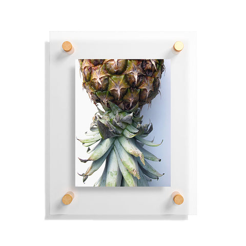 Deb Haugen Pineapple 2 Floating Acrylic Print