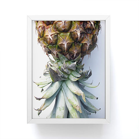 Deb Haugen Pineapple 2 Framed Mini Art Print