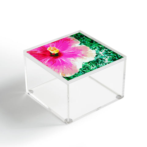Deb Haugen Pink Hibiscus 2 Acrylic Box