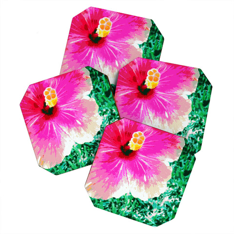 Deb Haugen Pink Hibiscus 2 Coaster Set