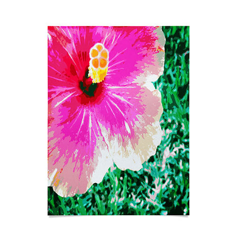 Deb Haugen Pink Hibiscus 2 Poster
