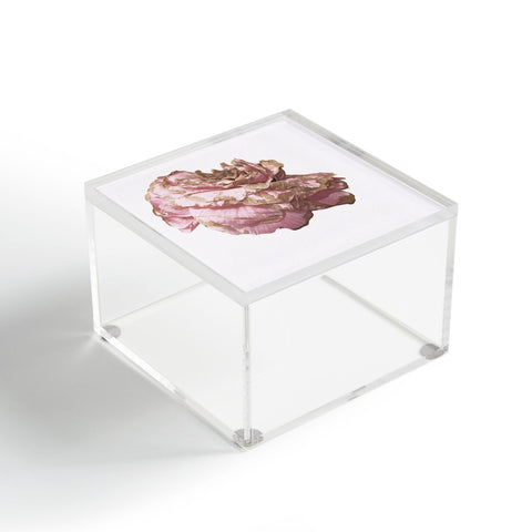 Deb Haugen pink love Acrylic Box
