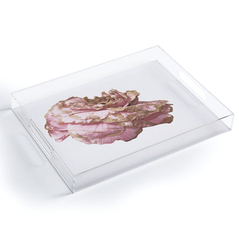Deb Haugen pink love Acrylic Tray