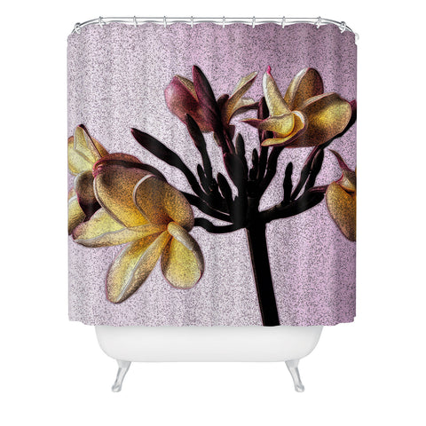 Deb Haugen Pink Plumeria Shower Curtain