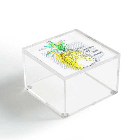 Deb Haugen Pure Pineapple Acrylic Box