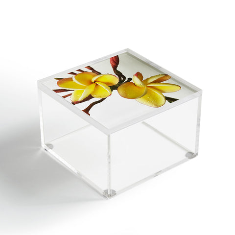 Deb Haugen rain plumeria Acrylic Box