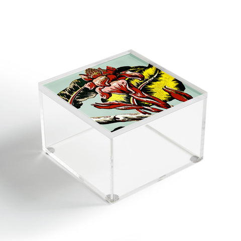 Deb Haugen Red Flame Acrylic Box